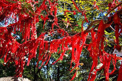 《漫威蜘蛛侠2》Steam页面公布 明年1月30日发售