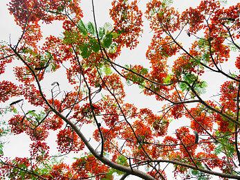 《星之海洋6》发布最终预告片 10月27日发售